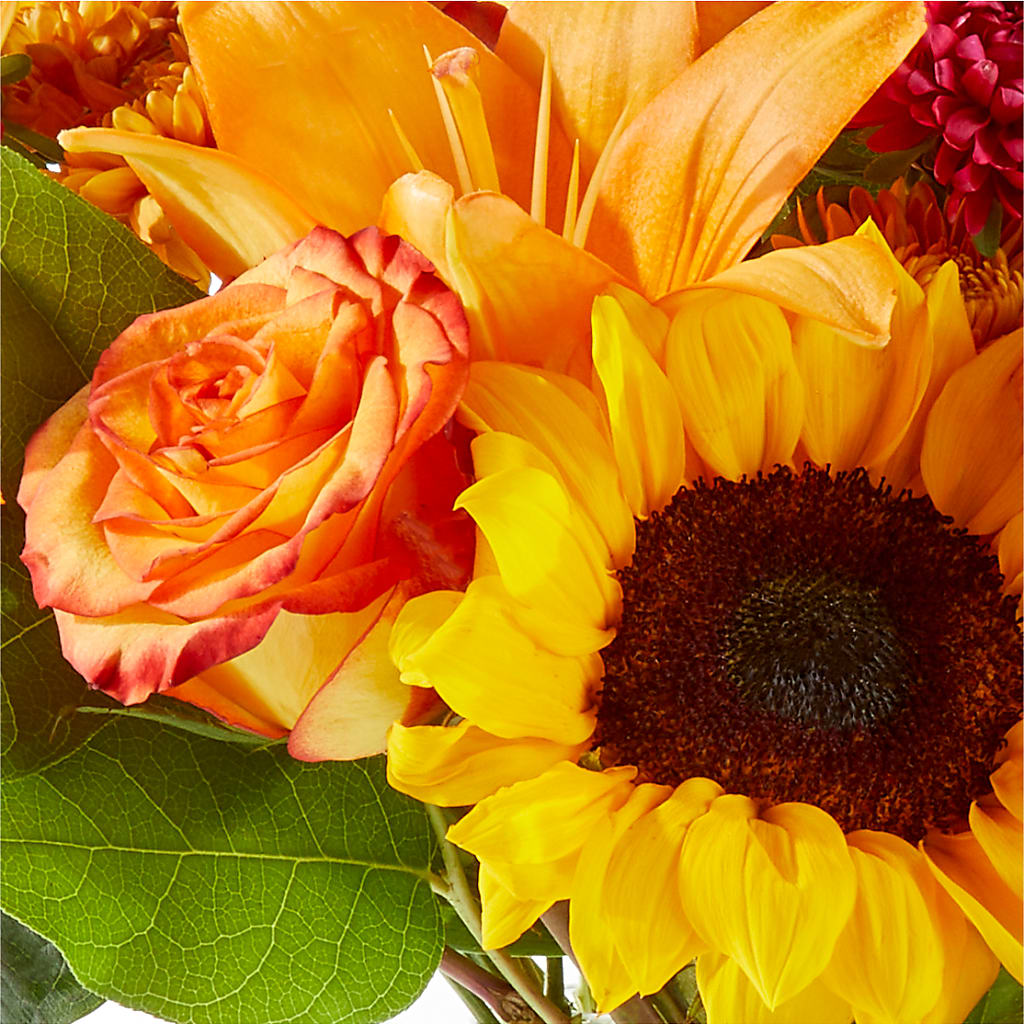 Fall Day Bouquet –  Verona Florist, Woodbridge ON