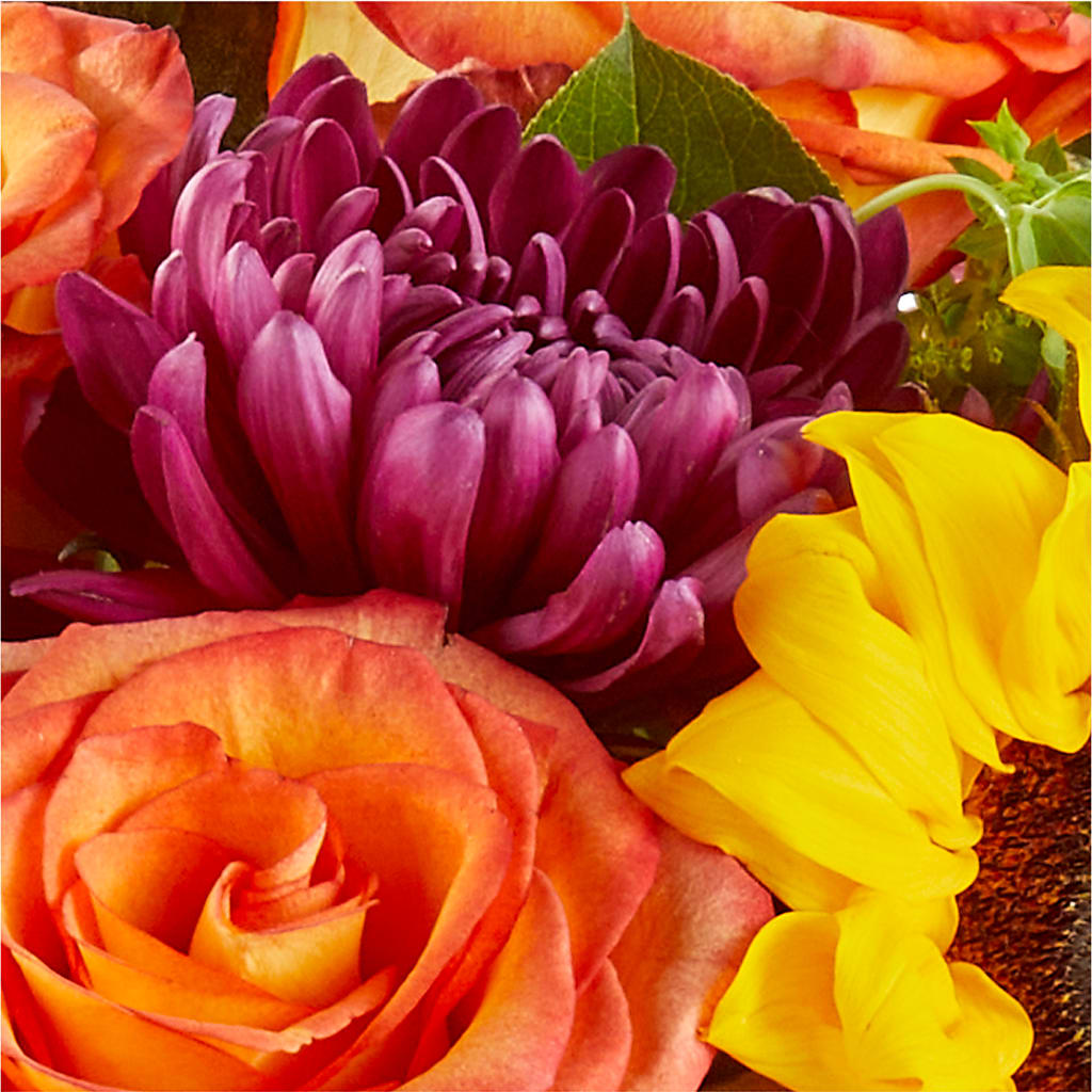 Nature Walk Bouquet –  Verona Florist, Woodbridge ON