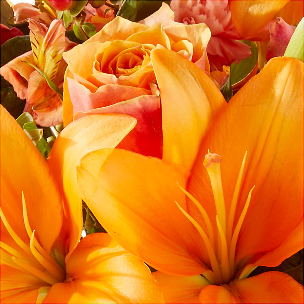 Afternoon Light Bouquet –  Verona Florist, Woodbridge ON