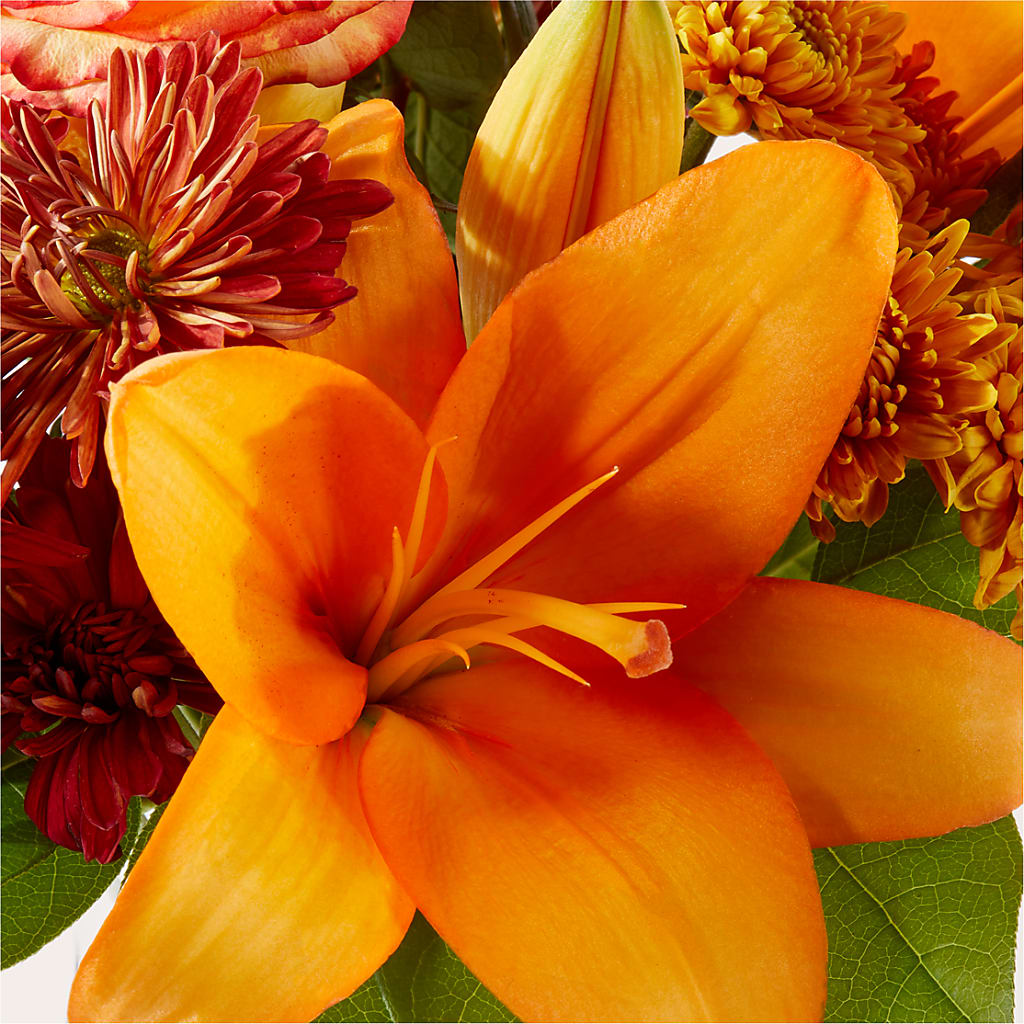 Autumnal Aroma Bouquet –  Verona Florist, Woodbridge ON