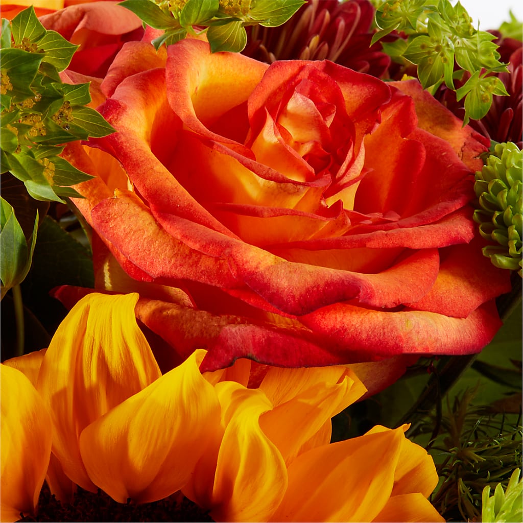 Harvest Festival Bouquet –  Verona Florist, Woodbridge ON