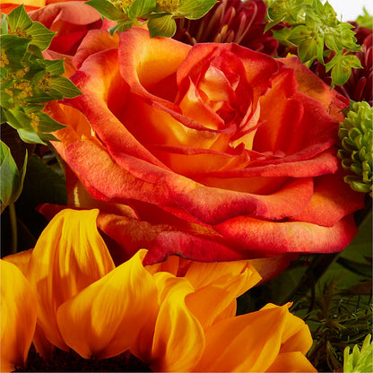 Harvest Festival Bouquet –  Verona Florist, Woodbridge ON