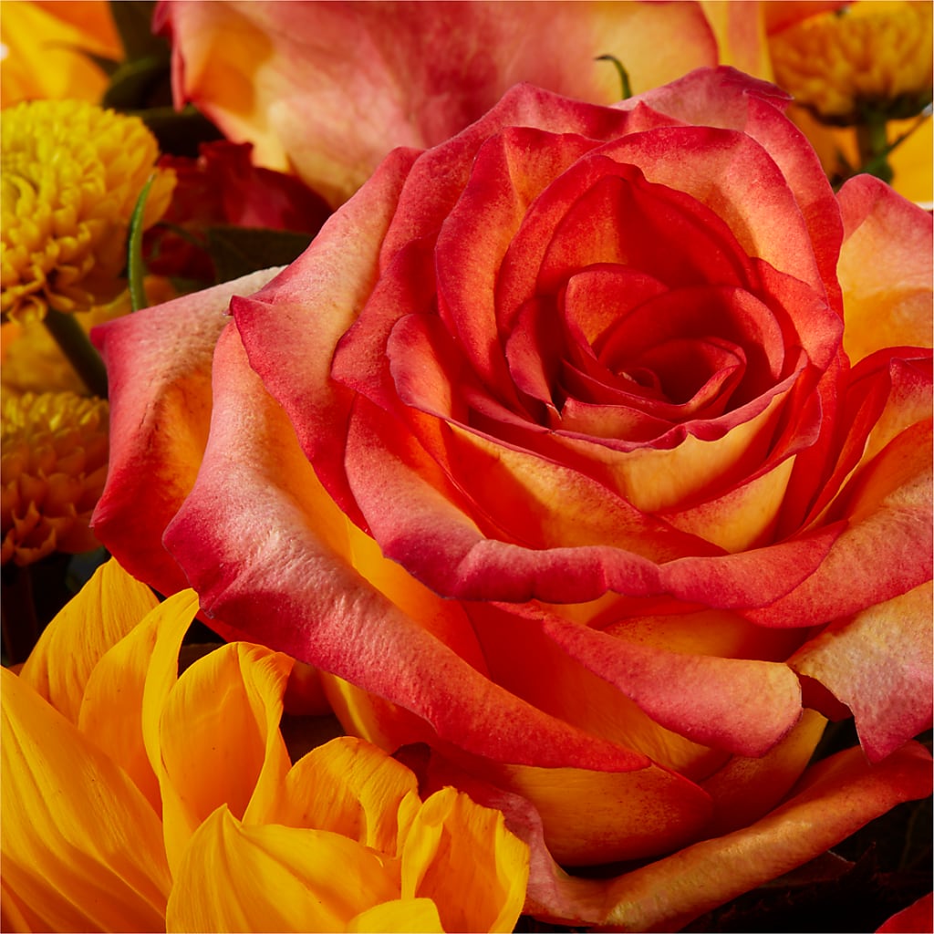 Picnic in the Park Bouquet –  Verona Florist, Woodbridge ON