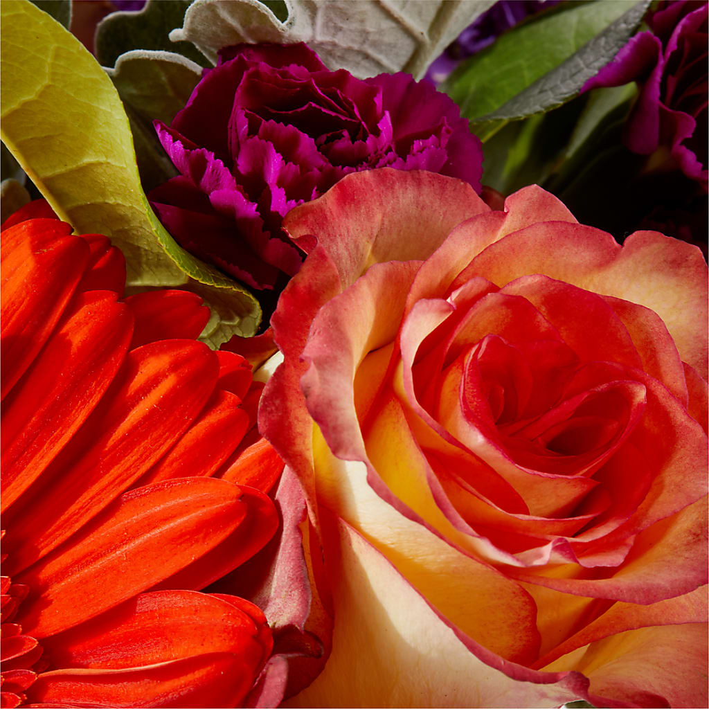 Sangria Bouquet –  Verona Florist, Woodbridge ON