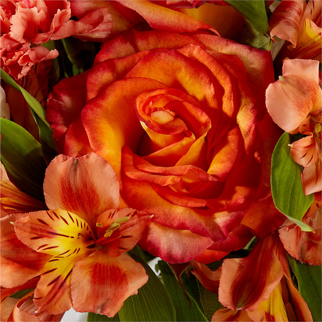 Apricot Glow Bouquet –  Verona Florist, Woodbridge ON