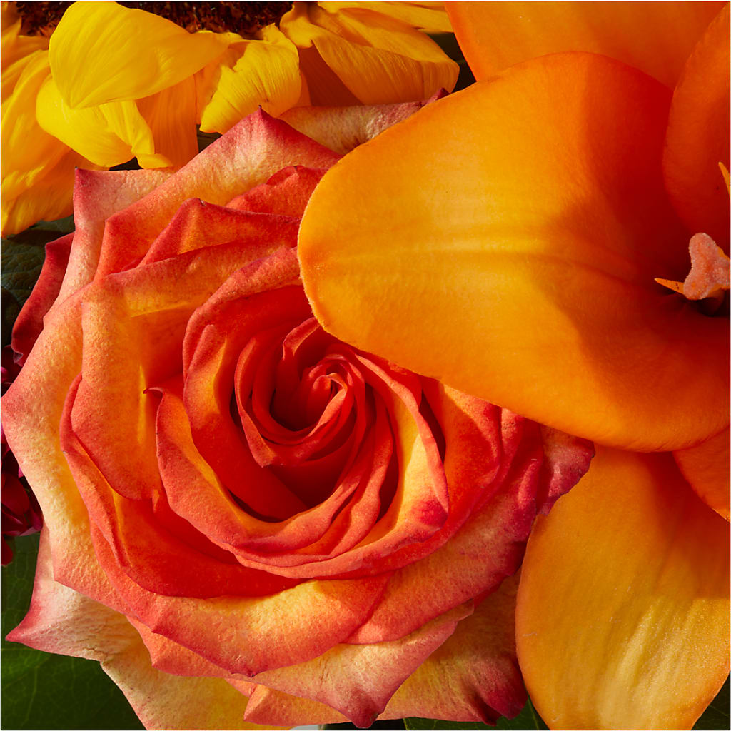 Grateful Centerpiece –  Verona Florist, Woodbridge ON