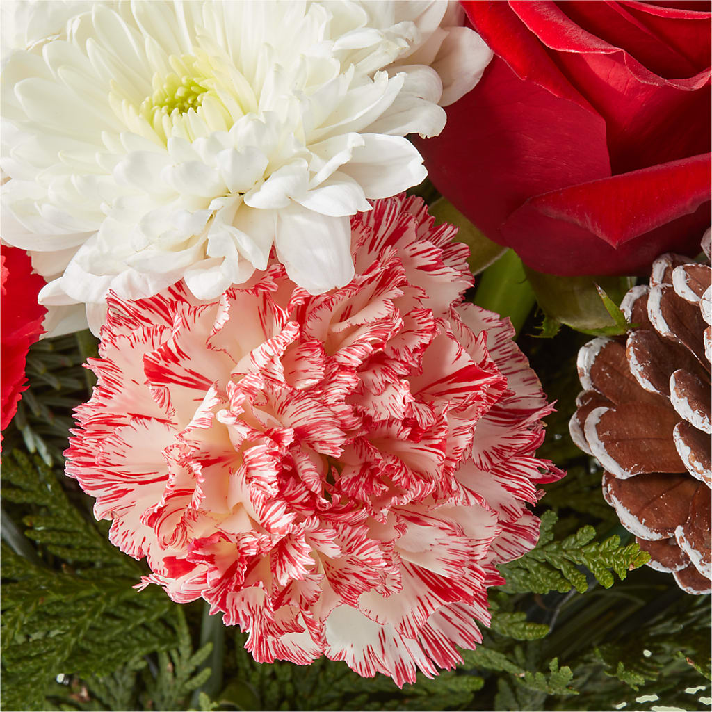 Candy Cane Lane Bouquet –  Verona Florist, Woodbridge ON