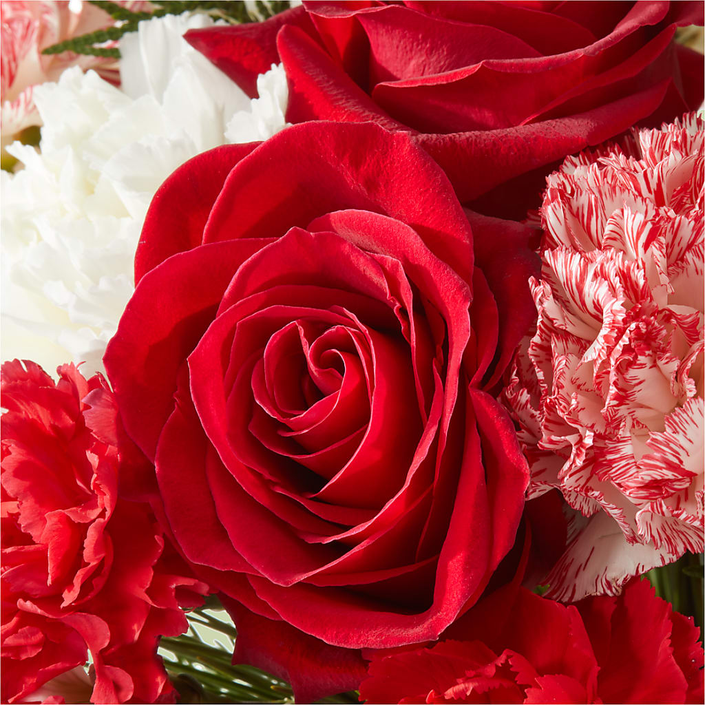 Candy Cane Lane Bouquet –  Verona Florist, Woodbridge ON