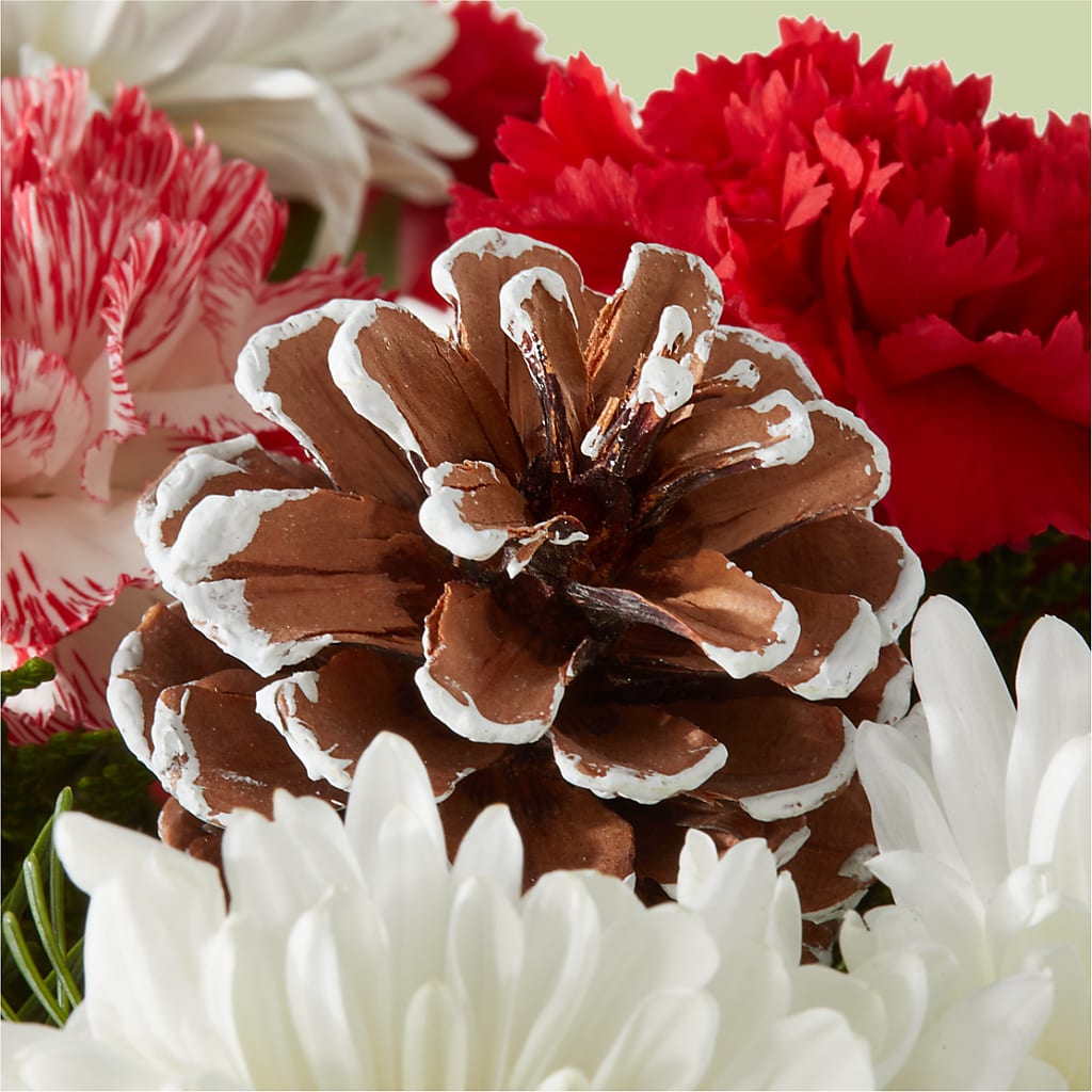 Candy Cane Lane Bouquet –  Verona Florist, Woodbridge ON