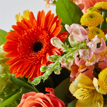 Autumn Sunshine Bouquet –  Verona Florist, Woodbridge ON