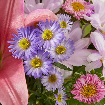 Pirouette Bouquet –  Verona Florist, Woodbridge ON