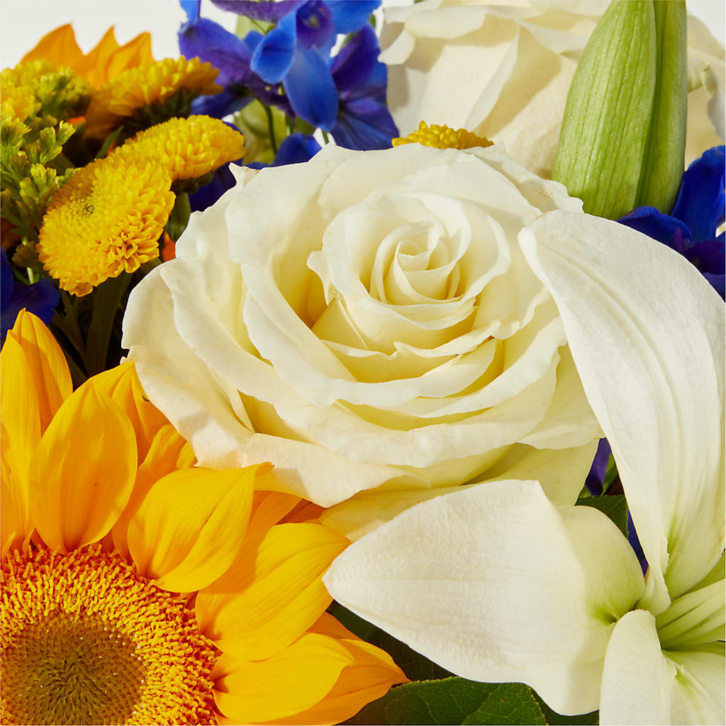 Stargazing Bouquet –  Verona Florist, Woodbridge ON
