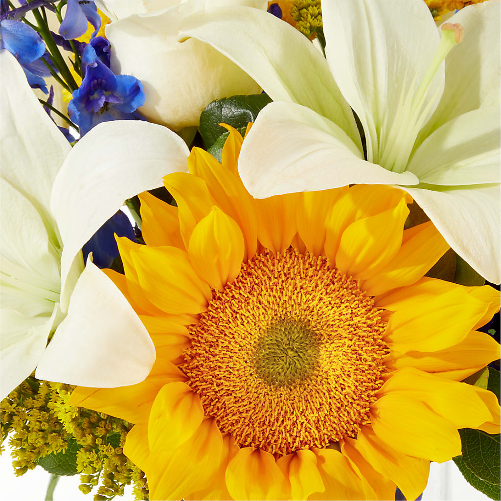 Stargazing Bouquet –  Verona Florist, Woodbridge ON
