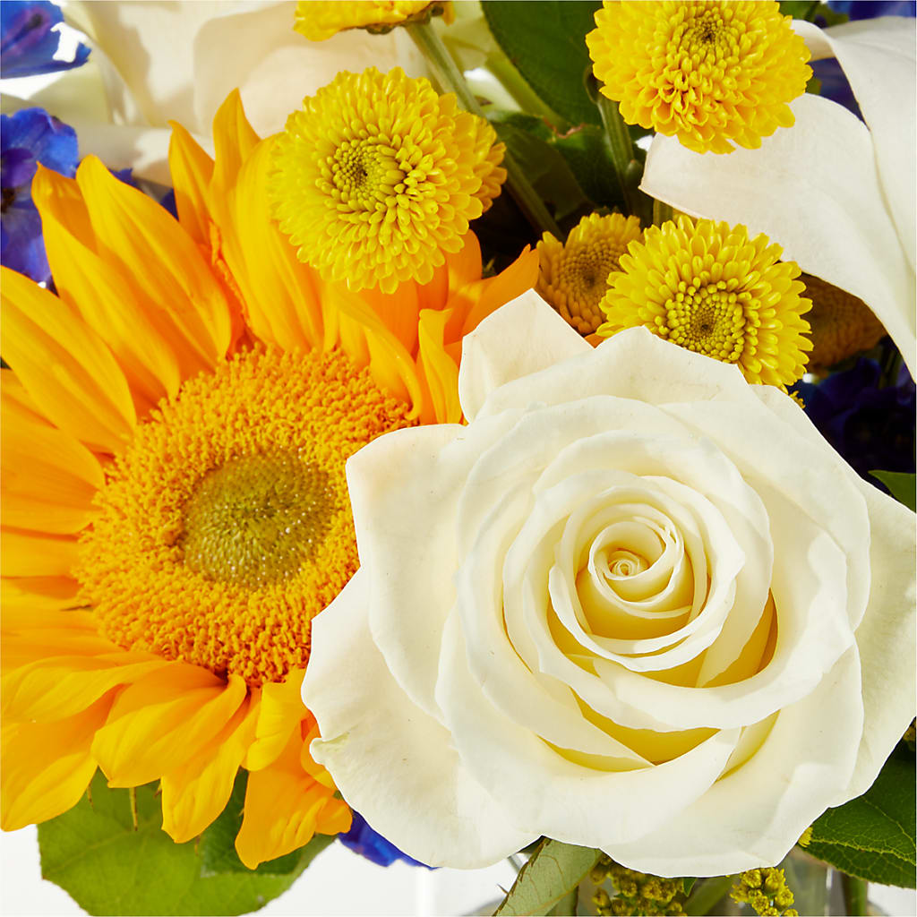 Stargazing Bouquet –  Verona Florist, Woodbridge ON