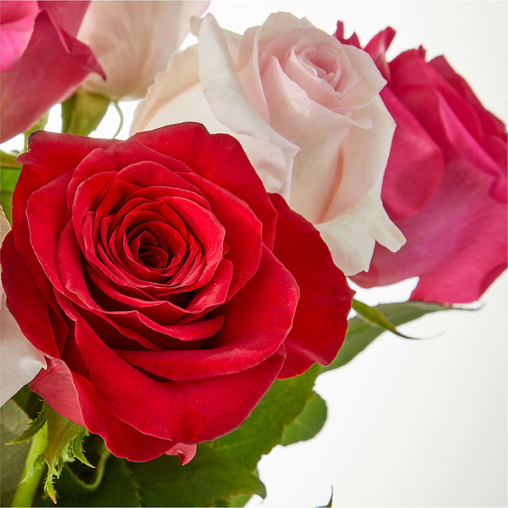 Charming Rose Bouquet –  Verona Florist, Woodbridge ON