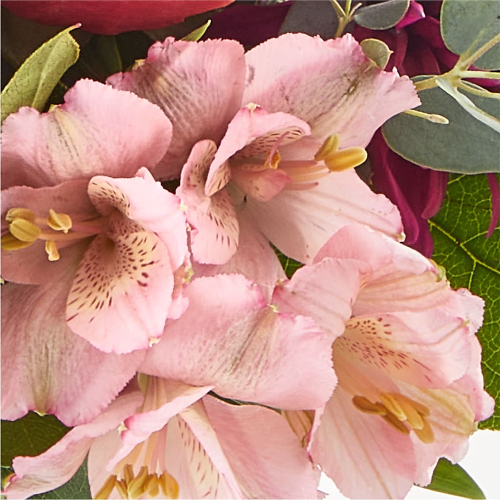 Berry Cobbler Bouquet –  Verona Florist, Woodbridge ON