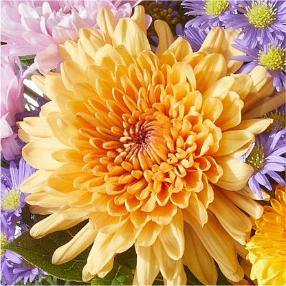 Countryside Bouquet –  Verona Florist, Woodbridge ON