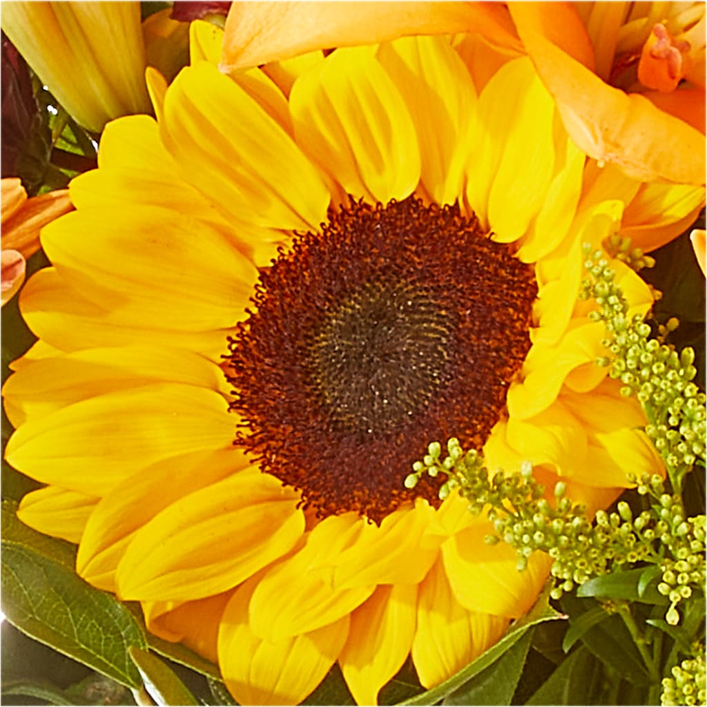 Seasons Change Bouquet –  Verona Florist, Woodbridge ON