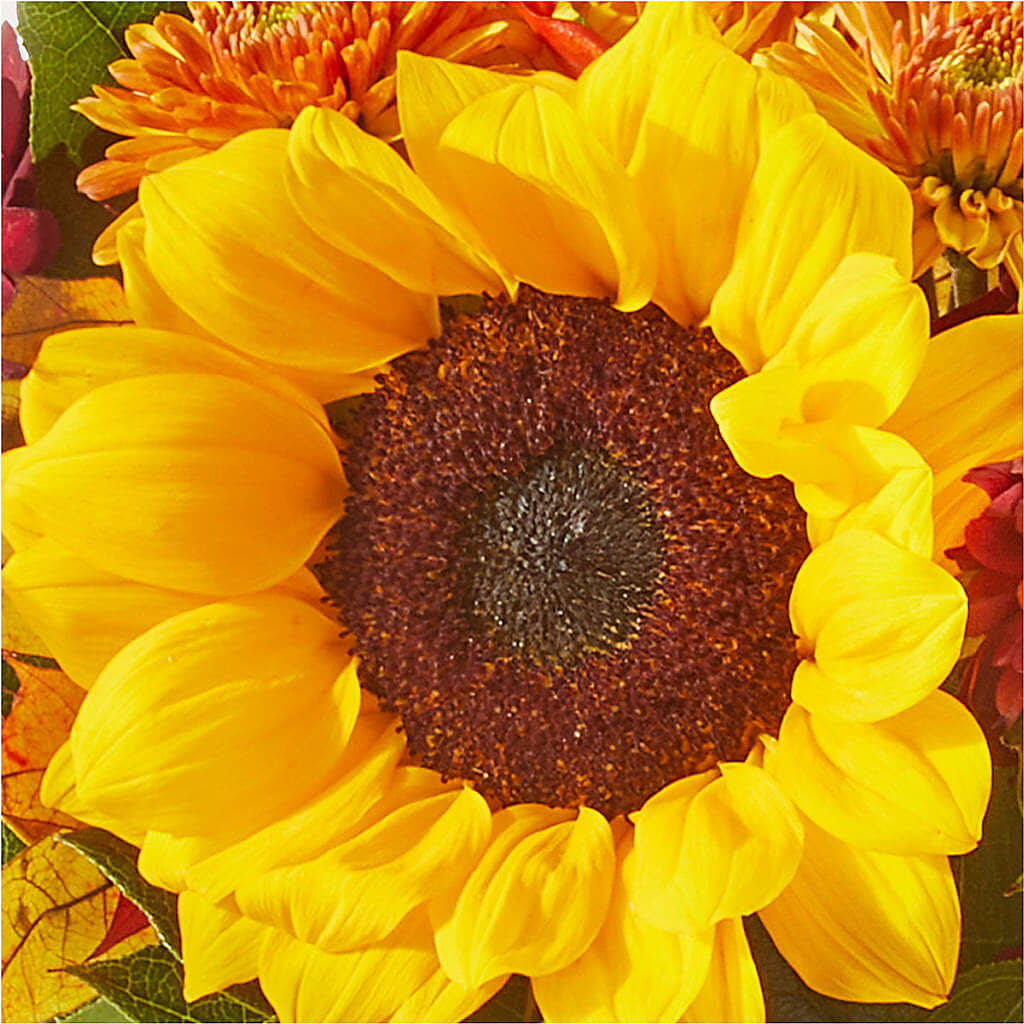 Sunny Side Bouquet –  Verona Florist, Woodbridge ON