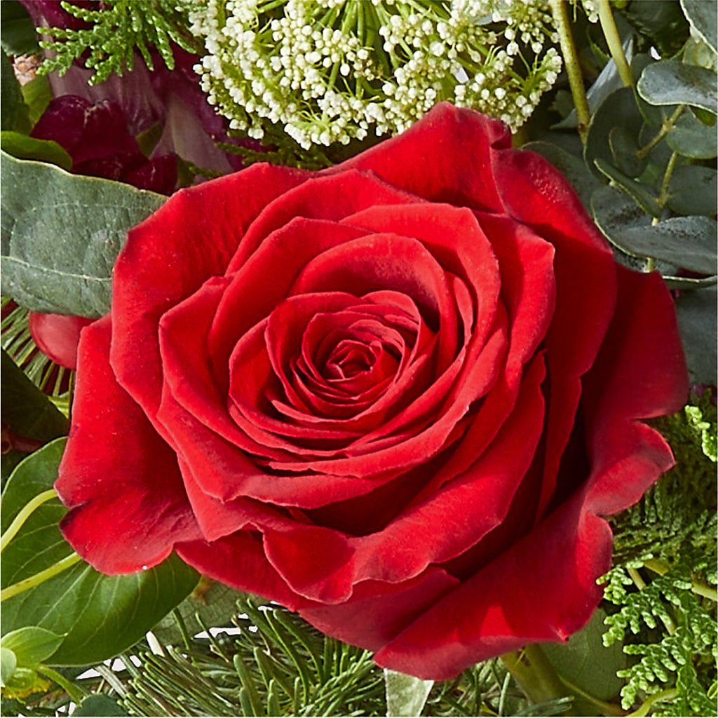 Cranberry Fizz Bouquet –  Verona Florist, Woodbridge ON
