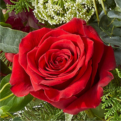 Cranberry Fizz Bouquet –  Verona Florist, Woodbridge ON