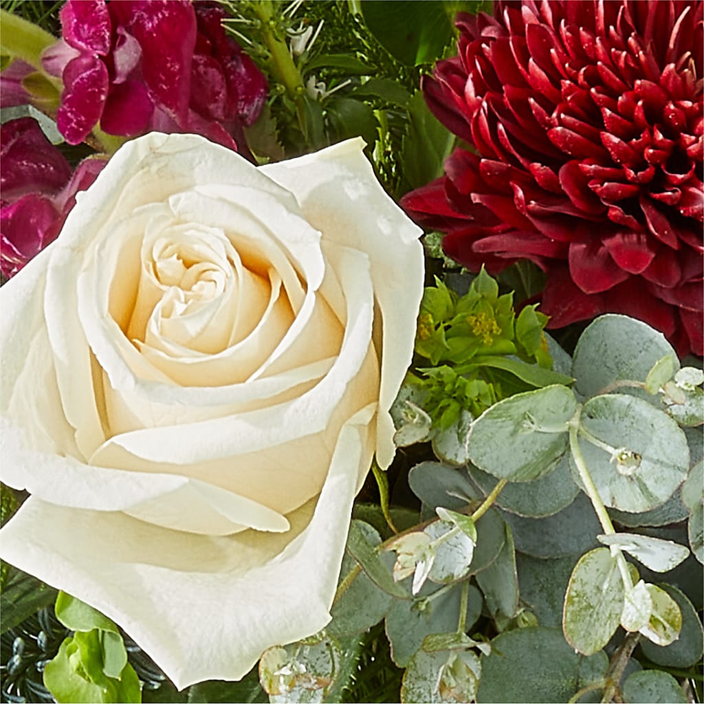 Cranberry Fizz Bouquet –  Verona Florist, Woodbridge ON