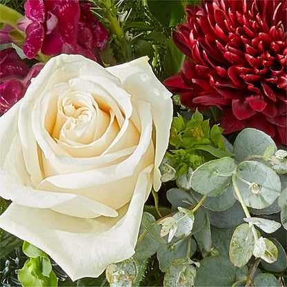 Cranberry Fizz Bouquet –  Verona Florist, Woodbridge ON