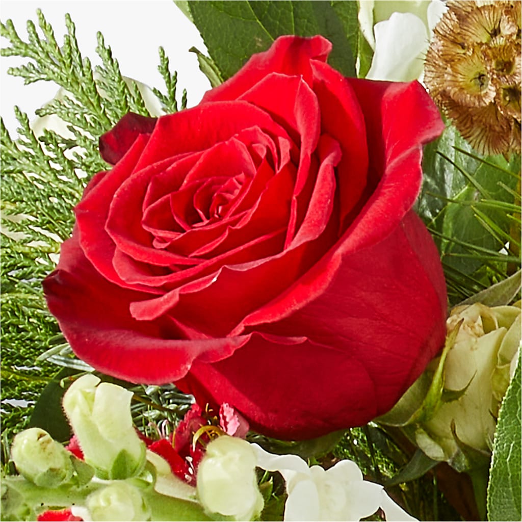 Deck the Halls Bouquet –  Verona Florist, Woodbridge ON