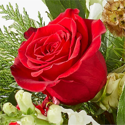 Deck the Halls Bouquet –  Verona Florist, Woodbridge ON