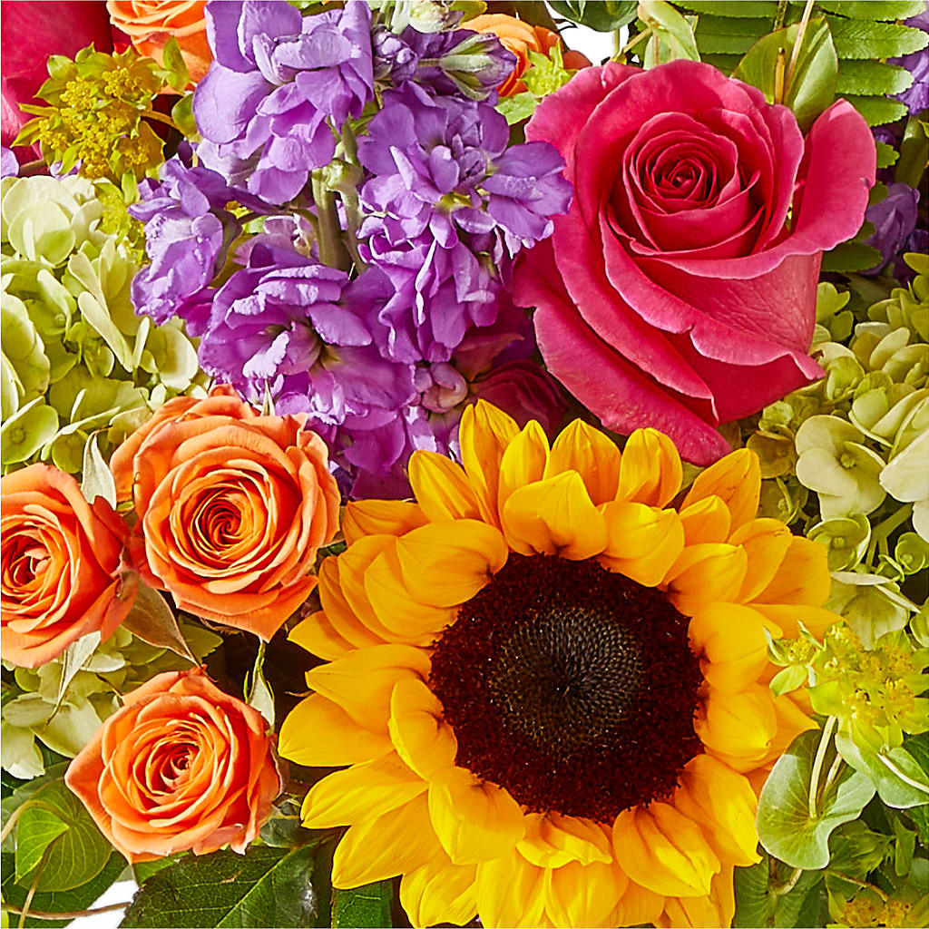 Vibrant Greetings Bouquet –  Verona Florist, Woodbridge ON