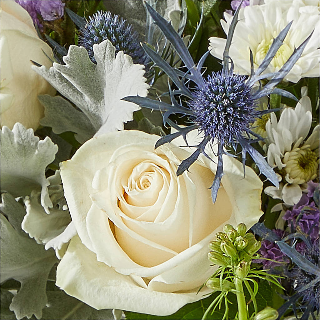 Shooting Star Bouquet –  Verona Florist, Woodbridge ON