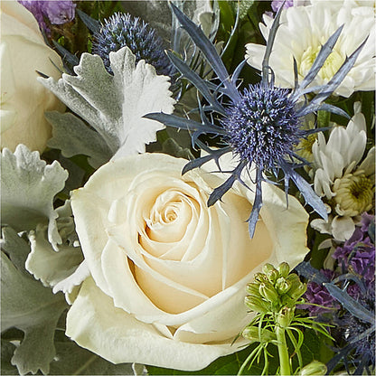 Shooting Star Bouquet –  Verona Florist, Woodbridge ON