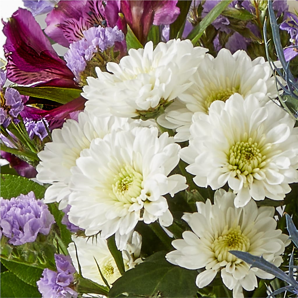 Shooting Star Bouquet –  Verona Florist, Woodbridge ON