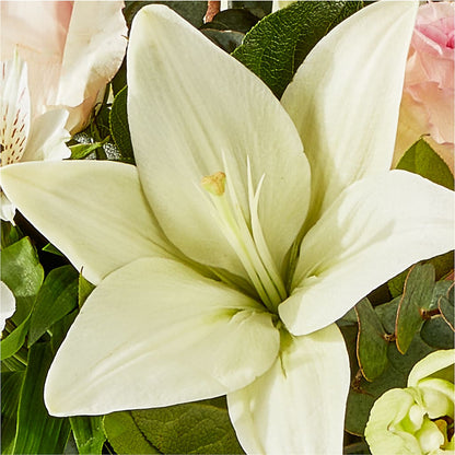 Ballet Slippers Bouquet –  Verona Florist, Woodbridge ON