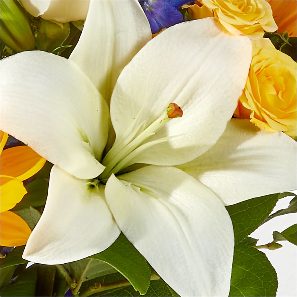 Wonderfully Sunny Bouquet –  Verona Florist, Woodbridge ON