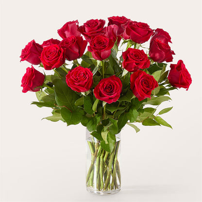 The One Red Rose Bouquet –  Verona Florist, Woodbridge ON