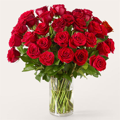 The One Red Rose Bouquet –  Verona Florist, Woodbridge ON