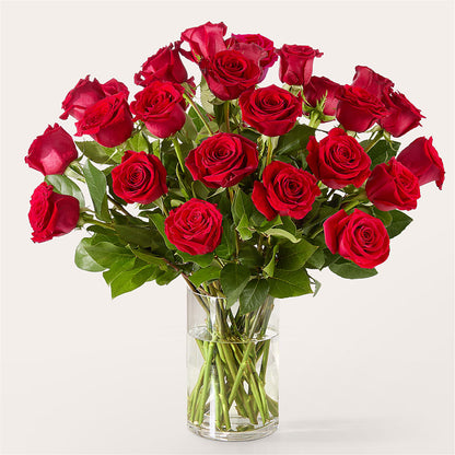 The One Red Rose Bouquet –  Verona Florist, Woodbridge ON