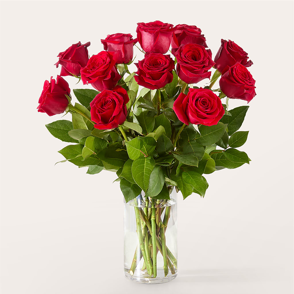 The One Red Rose Bouquet –  Verona Florist, Woodbridge ON