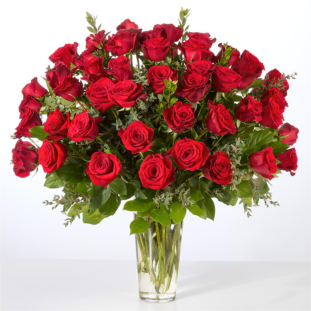 Forever Yours Fifty Stem Red Rose Bouquet –  Verona Florist, Woodbridge ON