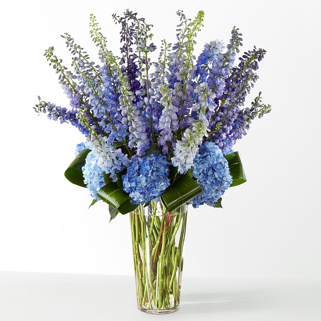 The Editorial –  Verona Florist, Woodbridge ON