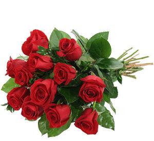 Dozen Wrapped Roses –  Verona Florist, Woodbridge ON