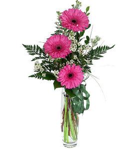 Bright Gerbera Bouquet –  Verona Florist, Woodbridge ON