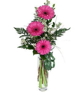 Bright Gerbera Bouquet